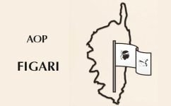 AOP-Figari-Vin-Corse